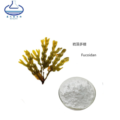 Fucus Vesiculosus Extract Powder Fucoidan Powder For Immunity Boost