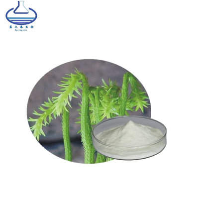 Huperzine A Huperzia Serrata Extract CAS 102518-79-6 Huperzine A Powder