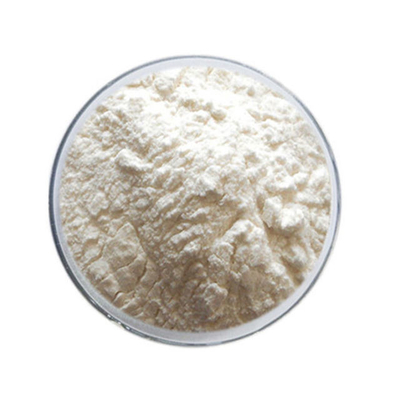 White Kidney Bean Extract  1% Phaseolin Pure Plant Extracts