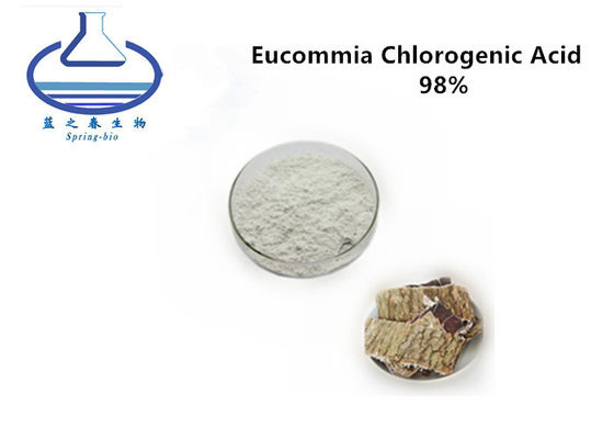 Eucommiae Bark Chlorogenic Acid Extract Cas 327-97-9 Off White Powder