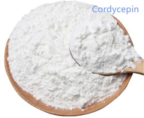 Magnolol Bark Extract Honokiol Ectoin In Skincare 98% Cordycepin