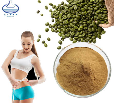 Weight Loss Green Coffee Bean Extract Chlorogenic Acid Powder