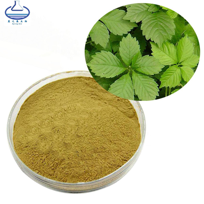 Gynostemma Pentaphyllum Extract Jiaogulan Extract Powder