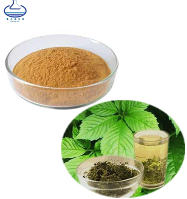 Gynostemma Pentaphyllum Extract Jiaogulan Extract Powder