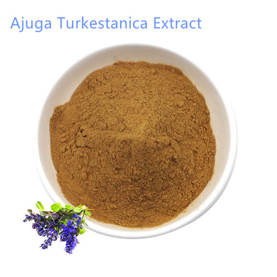 Factory Wholesale High Quality Turkesterone Powder Ajuga Turkestanica Extract