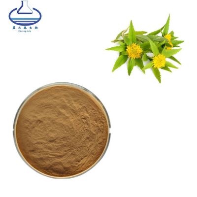 Health Supplement Rhodiola Rosea Extract Powder