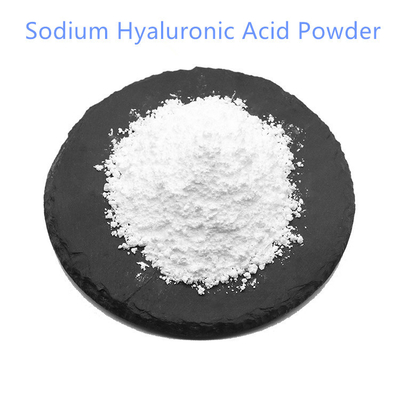 9004-61-9 Pure Plant Extracts Sodium Hyaluronic Acid Powder