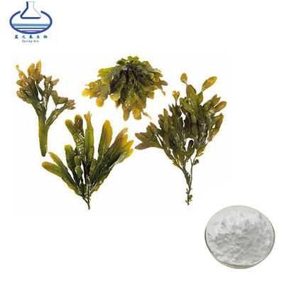 Fucus Vesiculosus Extract Powder Fucoidan Powder For Immunity Boost