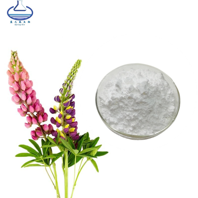 8% Lupeol Lupinus Polyphyllus Extract Pure Plant Extracts CAS NO. 545-47-1
