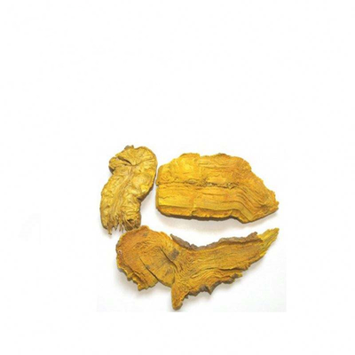 Fibraurea Recisa Pierre Extract Palmatine CAS NO. 3486-67-7