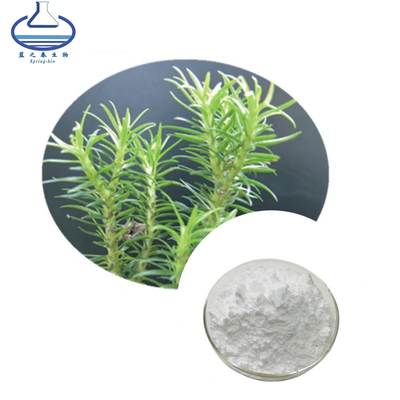 Huperzia Serrate Extract Huperzine A Powder For Improving Memory
