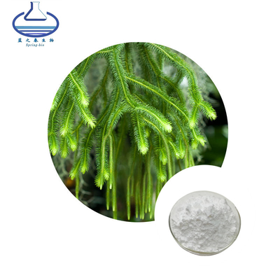Huperzia Serrate Extract Huperzine A Powder For Improving Memory