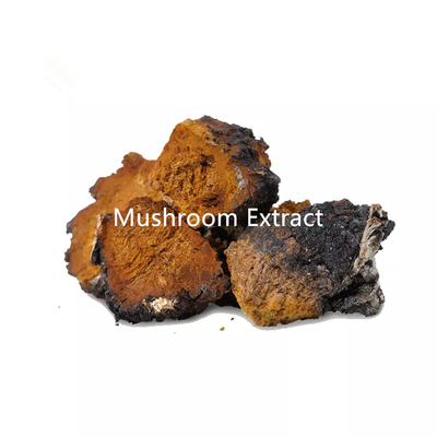 30% 60% Organic Chaga Mushroom Extract Health Food Use