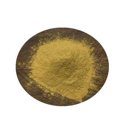 Health Food Pure Plant Extracts 40% Olive Leaf Extract Oleuropein Powder