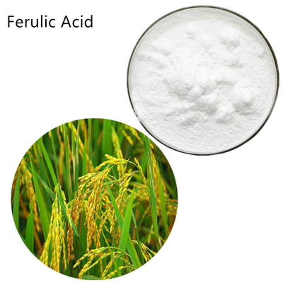 supply High quality Rice Bran Extract Ferulic Acid Powder CAS 1135-24-6
