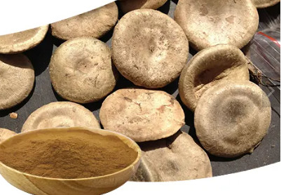 Supply pure natural High Quality 10:1 Fructus Corni Extract