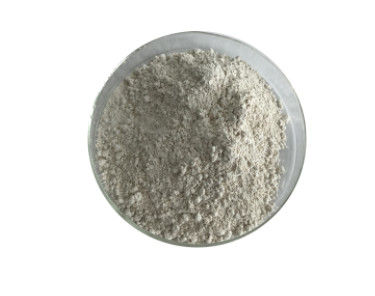 Slimming products Organic Licorice Extract , Garcinia Cambogia Extract HCA 50% 60%