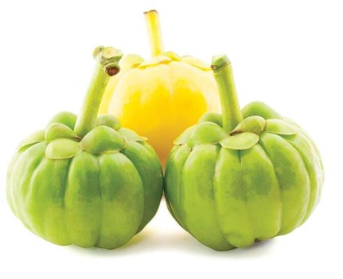 Manufactures hot selling Food Grade Garcinia Cambogia Extract Powder