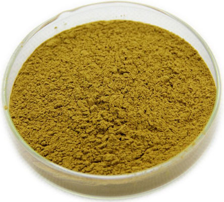 Sennoside 20% L Ergothioneine Powder  , 517-43-1 Senna Leaf Extract Powder