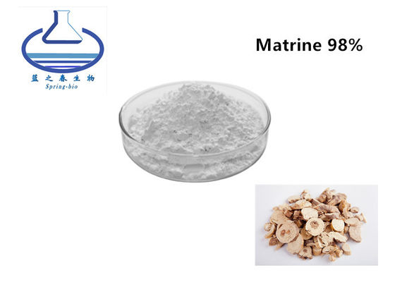 Natural Sophora Flavescens Extract Matrine 98%  CAS NO:519-02-8