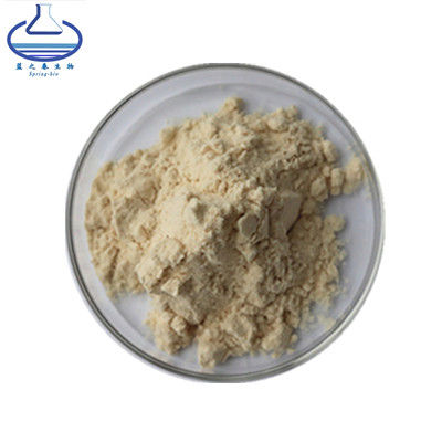 Food Grade Avena Sativa Extract Powder Oat Extract Oat Seed Powder