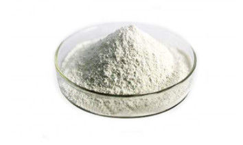 Rice Bran Extract Ectoin In Skincare Oryzanol 99%  CAS 11042-64-1