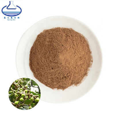 DHM Dihydromyricetin 20% Glutathione Extract Hovenia Dulcis CAS 27200-12-0