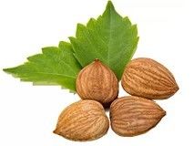 Plant Extract Bitter Almond Powder Liquid Solid Extraction