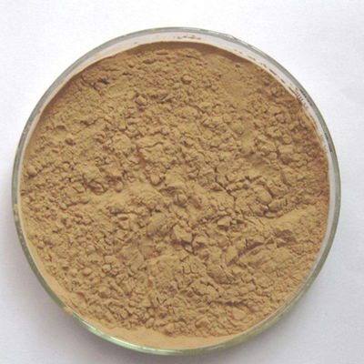 501-36-0 Glutathione Extract , He Shou Wu Polygonum Multiflorum Powder