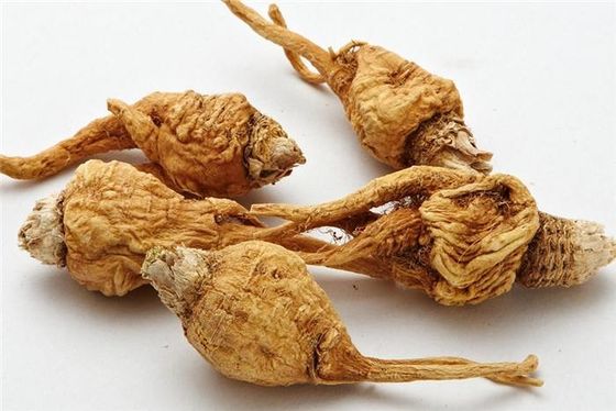 10:1 Root Maca Extract Powder Food Grade for Health Protect