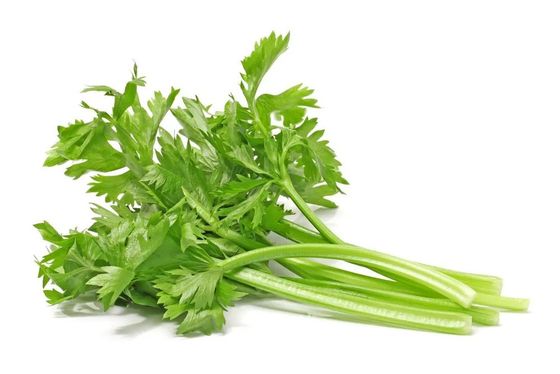Celery Extract Pure Coenzyme Q10 Apigenin 10% CAS 520-36-5