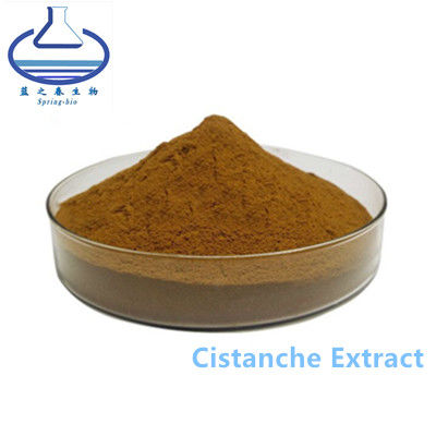 Antioxidant Cistanche Tubulosa Extract Brown powder