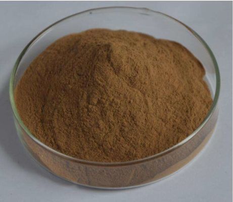 Antioxidant Cistanche Tubulosa Extract Brown powder