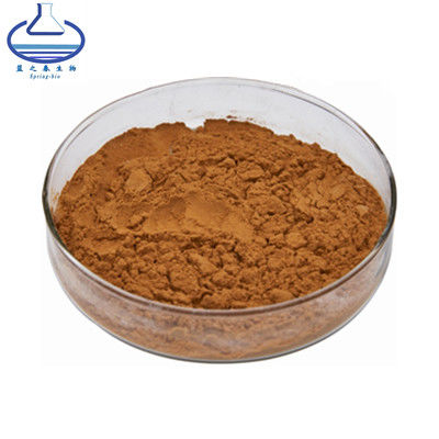 High Quality Bulk UV Cuscuta Chinensis extract Brown Powder