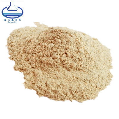 Mogroside V Fructus Monk Fruit Powder Food Grade for Sweetener