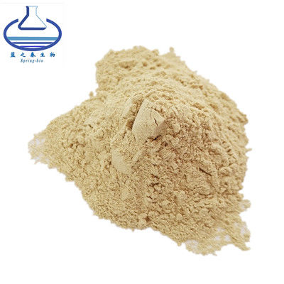 Mogroside V Fructus Monk Fruit Powder Food Grade for Sweetener