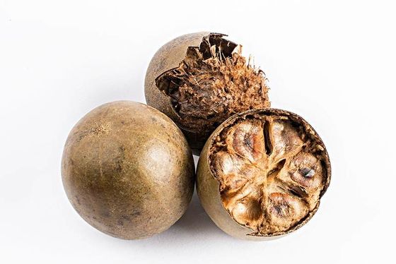Mogroside V Fructus Monk Fruit Powder Food Grade for Sweetener