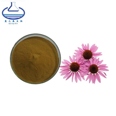 Herbal Angustifolia Echinacea Purpurea Root Powder 90028-20-9