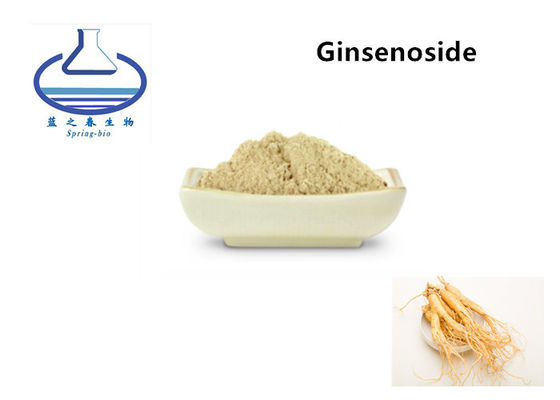 Pure Natural High Quality Panax Ginseng Extract Ginsenoside Powder