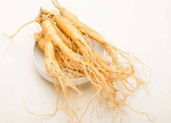 Pure Natural High Quality Panax Ginseng Extract Ginsenoside Powder