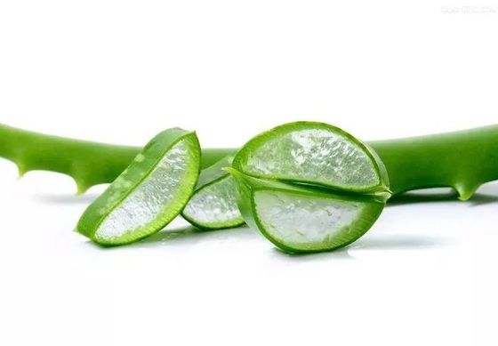 HPLC Aloe Vera Compact Powder Deep moisturizing and hydrating