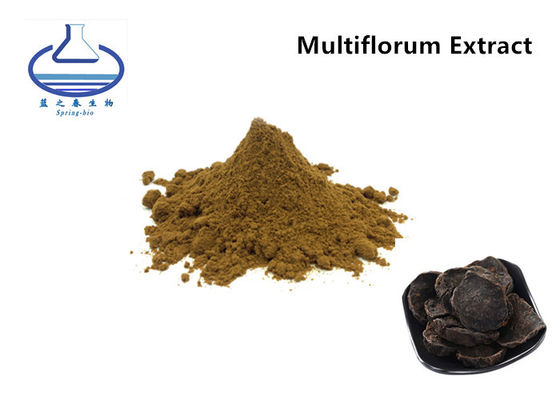 Manufactures Wholesale Bulk Polygonum Multiflorum Extract Powder