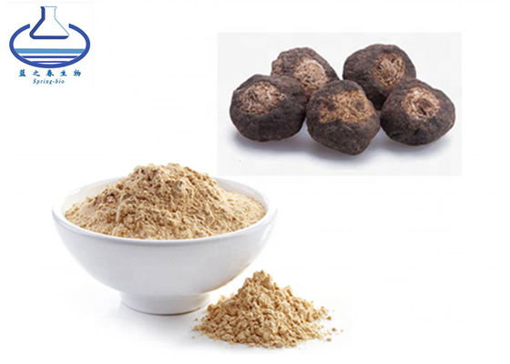 Wholesale Bulk Pure Natural Maca Root Extract Powder