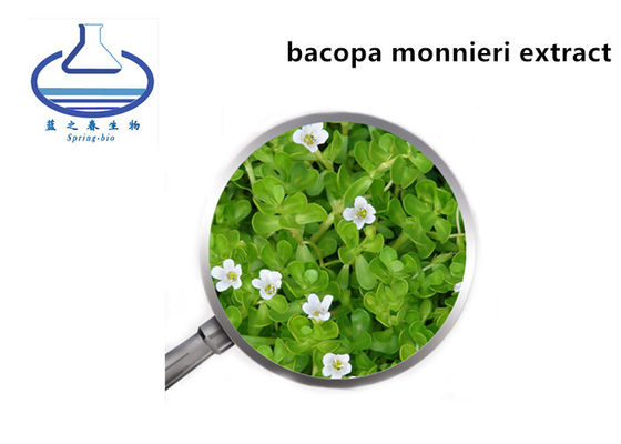 10% 20% 50%  Bacopa Monnieri Extract Bacopaside Purslane Supplement