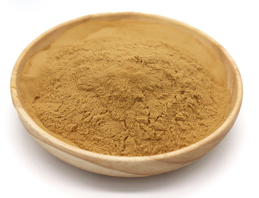 10% 20% 50%  Bacopa Monnieri Extract Bacopaside Purslane Supplement