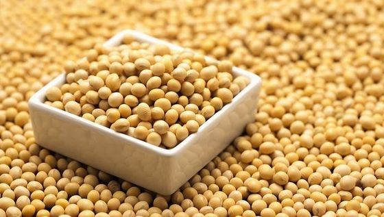 High Purity Soybean Extract Daidzein Powder CAS 486-66-8