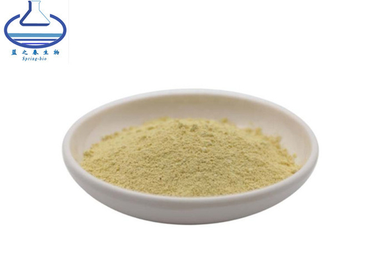 Rhizoma Kaempferia Galanga Extract 50% Kaempferol Powder